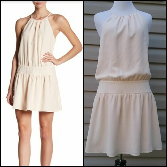Joie Dresses & Skirts - Joie Ariadna drop waist silk dress
